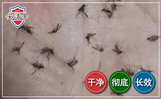 开化蚊子防治-灭蚊
