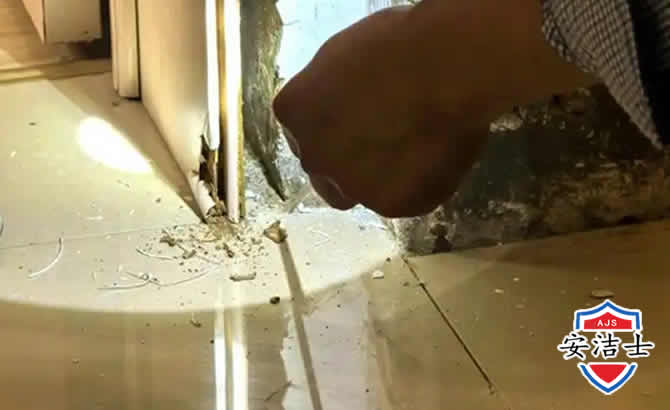 开化房屋建筑防治白蚁