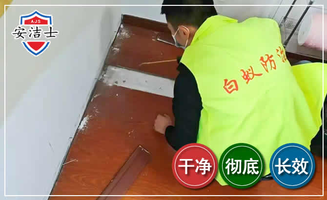 开化除四害现场