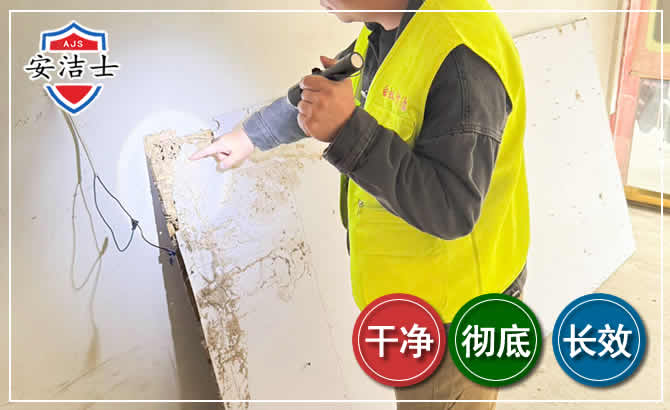 开化除白蚁现场