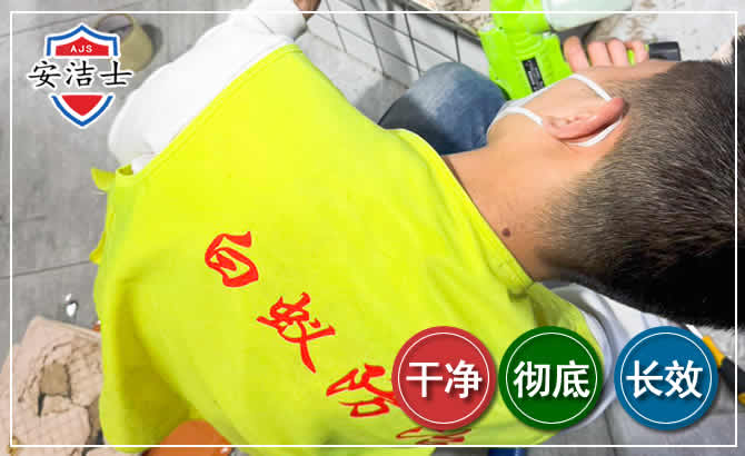 开化白蚁根治现场